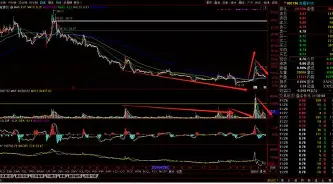 Dota2盘口突变，业内人士深度分析