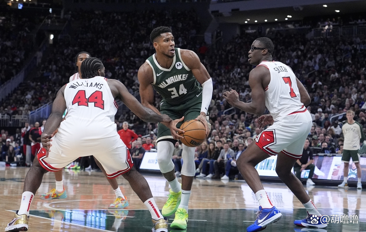 雄鹿轻取公牛,武切维奇高光表现 雄鹿轻取公牛,武切维奇高光表现