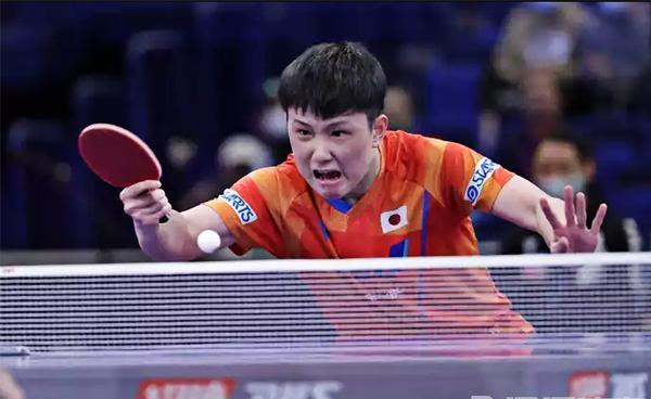 波兰队力克日本队，张本智和刷新纪录的简单介绍