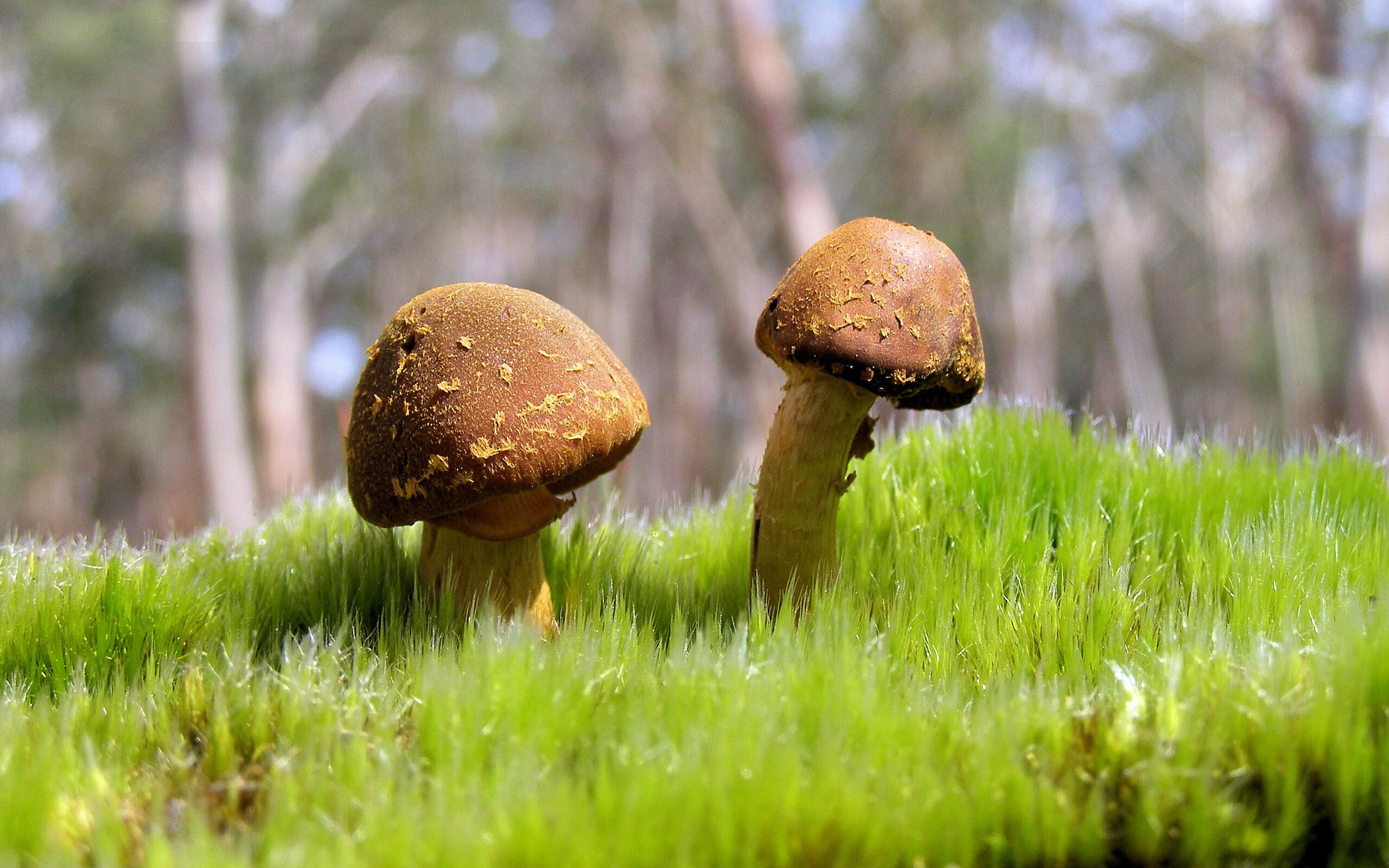 开云体育APP下载-唯一性，当非洲心跳遇见桑巴魔法，维尼修斯证明自己不是又一个