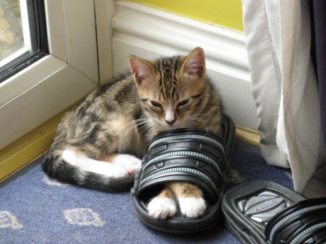 东方快车碾过密尔沃基，班凯罗47分导演逆转，北京队一波流带走雄鹿