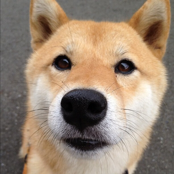 开云体育APP下载-构思 思维扩展)