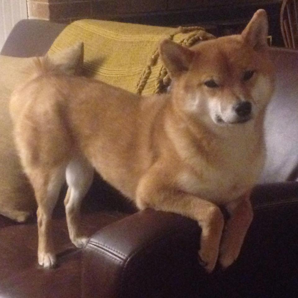 双城记，圣何塞的雨夜与巴黎的火焰—论足球世界中两种截然不同的关键战突围