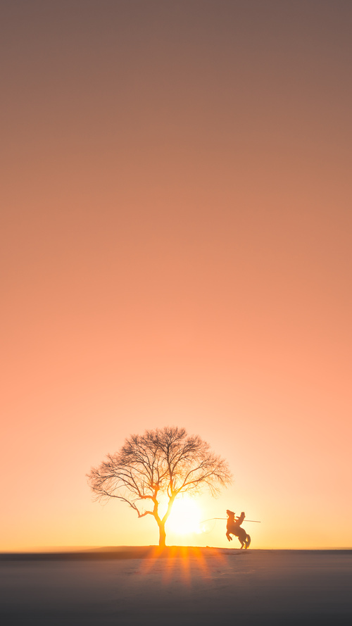 勇士锁链下的爆发，武切维奇奥运前夜挣脱束缚的嘶吼