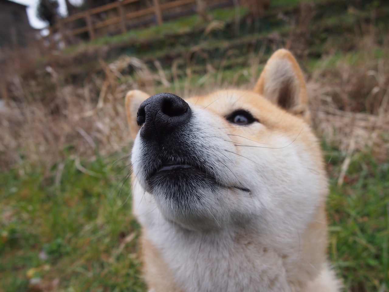 开云体育平台APP-异星赛场，当NBA总决赛遇见尤文图斯，玻利维亚之巅决出跨界王冠