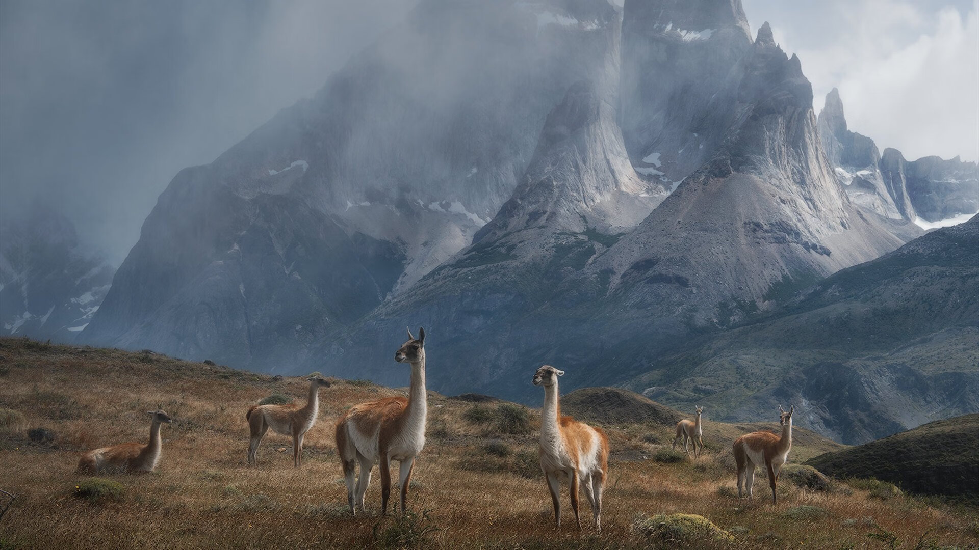 开云体育登录-蒙特利尔闪电战，加拿大车手在F1街道赛焦点中打穿瑞士精密防线