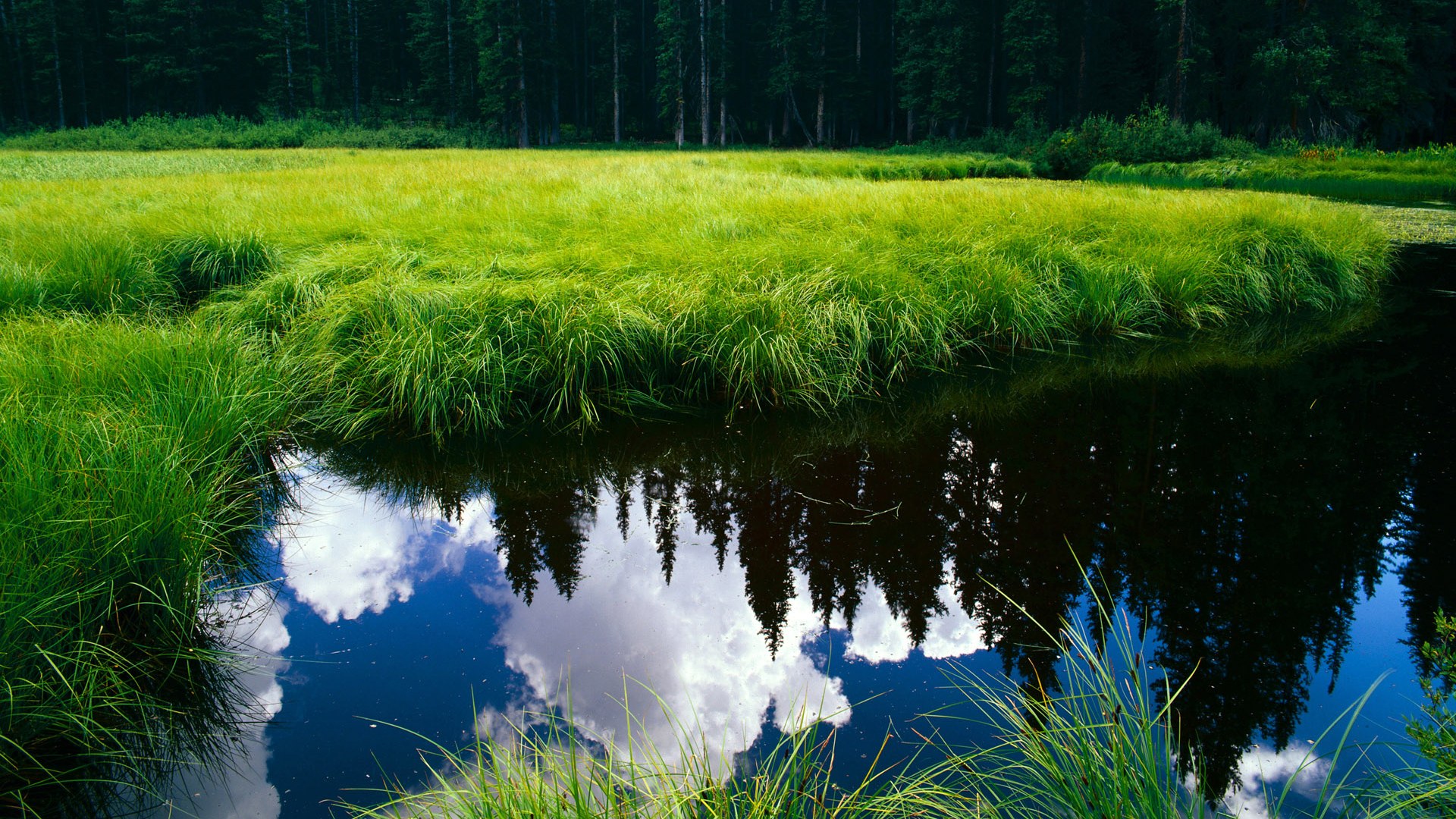 铁血广厦粉碎独行侠神话，末节死神詹姆斯定江山