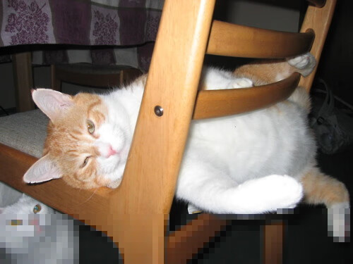 开云体育中国-意甲焦点战之夜，关键先生从不手软