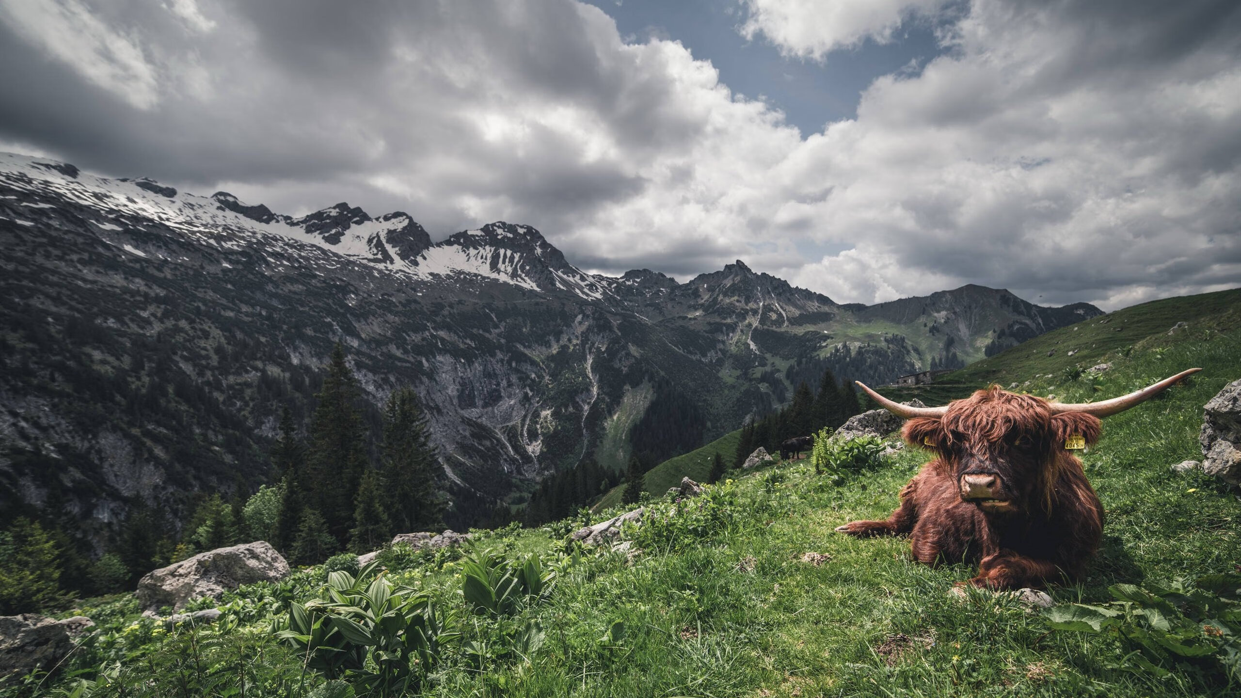 三分之二，当阿尔及利亚在时间之外带走秘鲁，门迪如何用数据诠释巧合与必然的交点