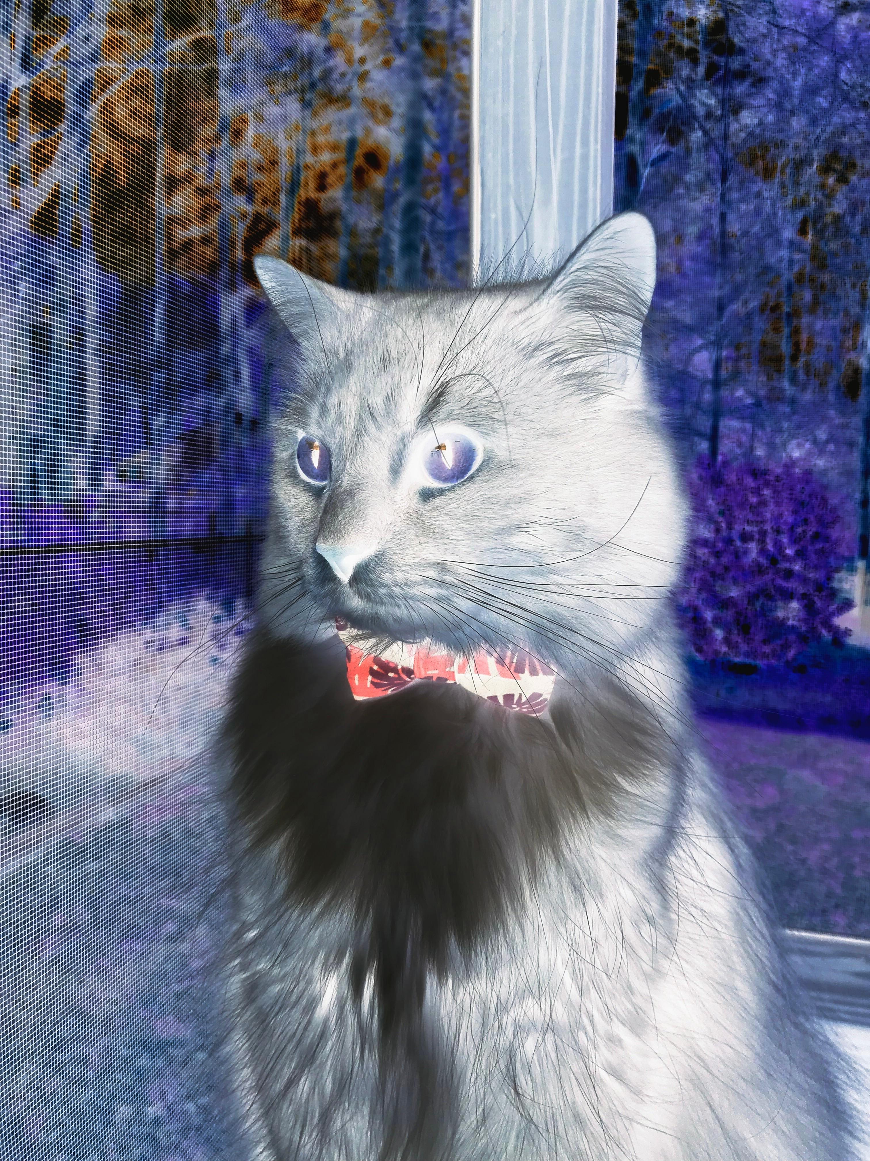 轰鸣与怒吼，边界上的极限