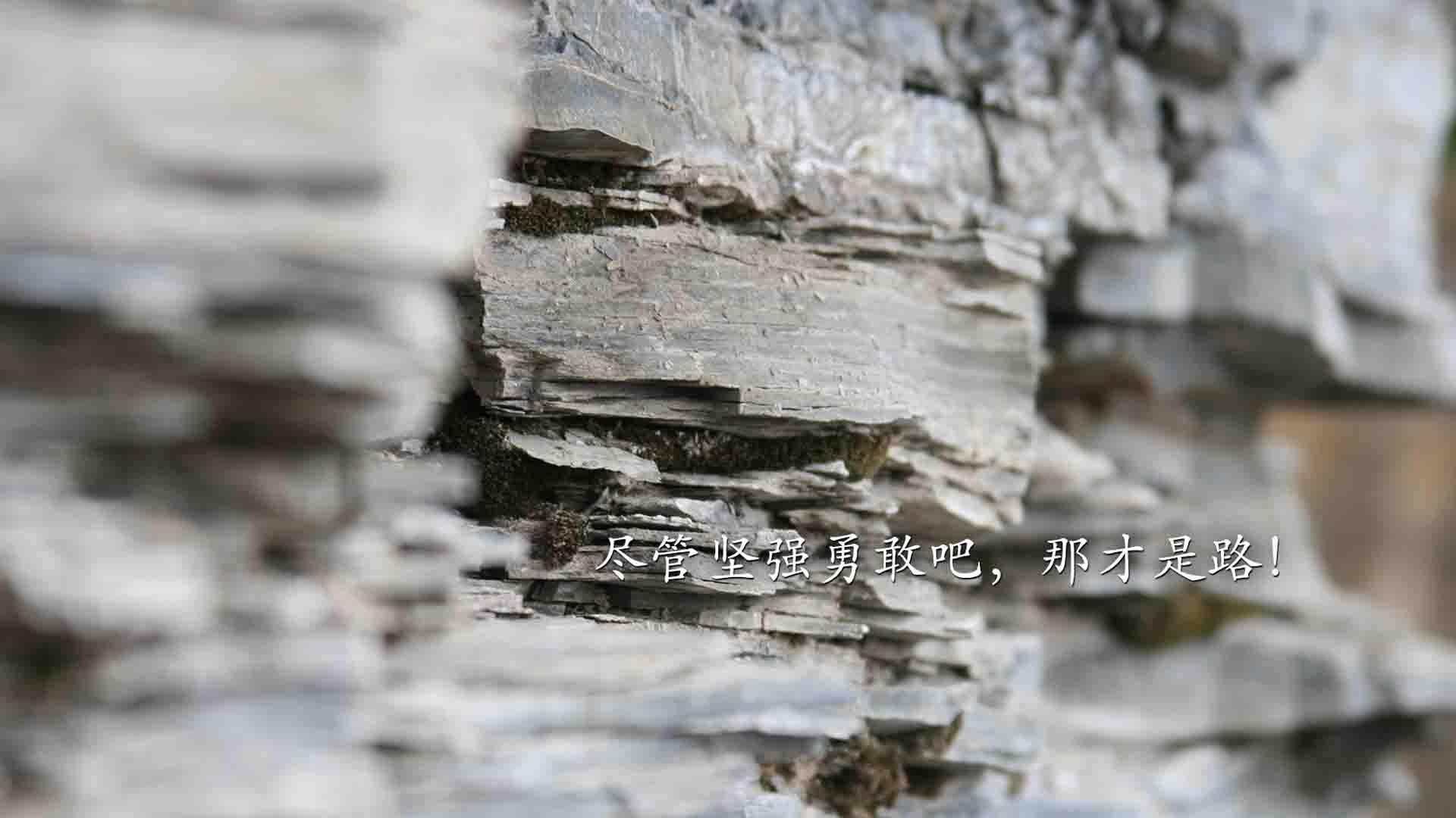 赛道与球场的极速之夜，当F1新赛季轰鸣启程，武切维奇何以成为无争议的最佳？